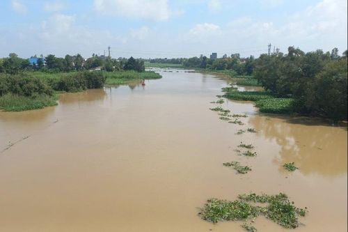 Dự báo mực nước lũ các huyện vùng Đồng Tháp Mười tỉnh Long An tăng cao