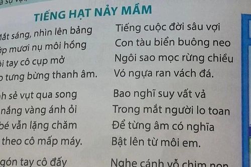 Vụ bài thơ 'Tiếng hạt nảy mầm': Chương trình mới cần cách học mới