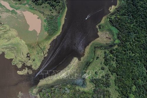 Một vụ sạt lở bờ sông ở Brazil có thể đã chôn vùi 200 người