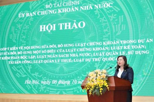 Sửa Luật Chứng khoán: Sẽ xử nghiêm các hành vi gian lận, lừa đảo