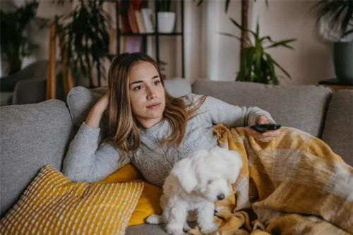 Lý do tại sao gần một nửa người Mỹ thích xem tivi cùng thú cưng của họ, bí mật đằng sau là gì?