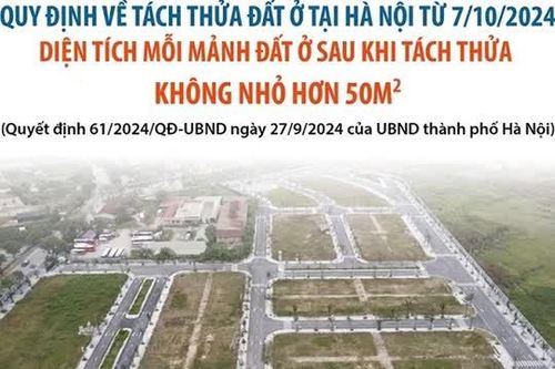 Infographic: Quy định mới về tách thửa đất của Hà Nội