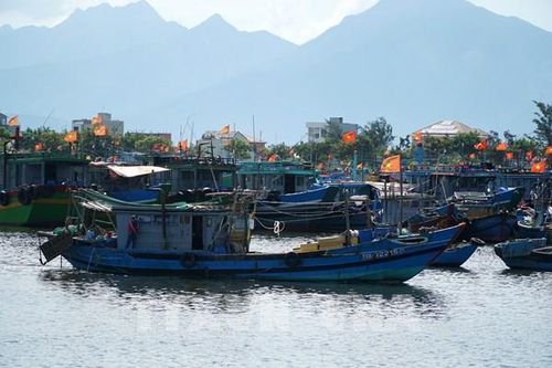 Yếu tố nào giúp nông nghiệp Đà Nẵng tăng trưởng khá?