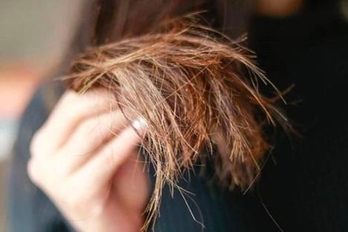 Nỗi khổ tóc hư tổn và cách khắc phục hiệu quả