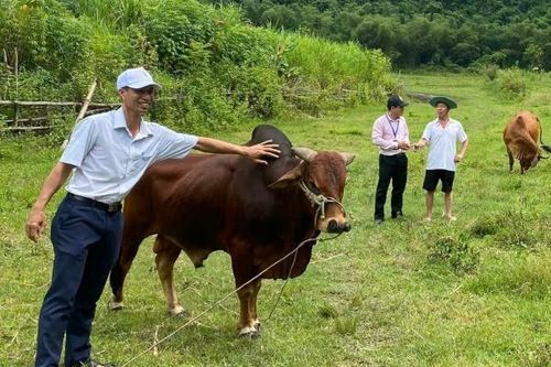 Ngân hàng Chính sách xã hội Chi nhánh Hải Phòng: Kịp thời giải ngân hỗ trợ người dân khôi phục sản xuất