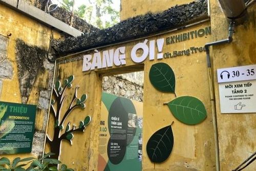 Kể chuyện 'Bàng ơi' tại nhà tù Hỏa Lò