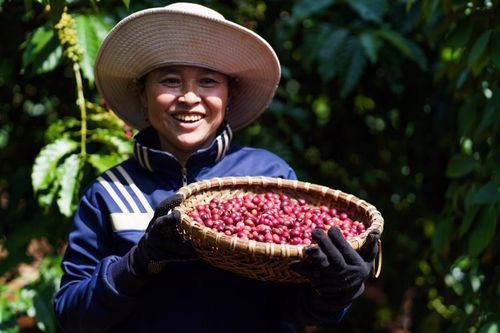 Hoàn thiện khung pháp lý hoạt động mua bán qua Sở Giao dịch hàng hóa