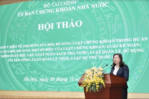 Sửa Luật Chứng khoán: Bỏ đề xuất quy định nhà đầu tư chuyên nghiệp phải giao dịch 10 lần mỗi quý