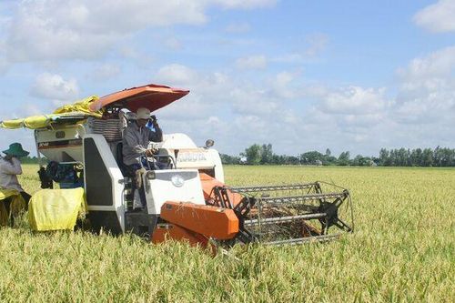 Châu Phú tập trung nhiệm vụ các tháng cuối năm 2024