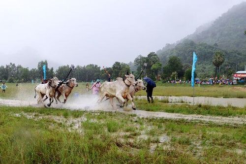 Sôi nổi các hoạt động thể dục - thể thao ở Tri Tôn