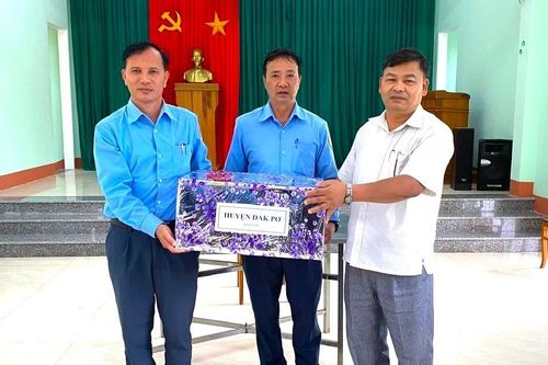 Lãnh đạo huyện Đak Pơ thăm, tặng quà Đội K52