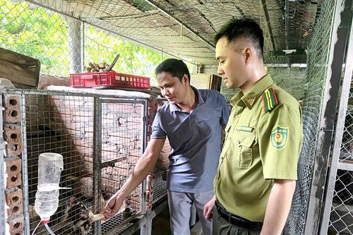 Quản lý các cơ sở gây nuôi động vật hoang dã
