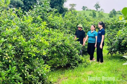Chuyện dân vận ở Minh Khương