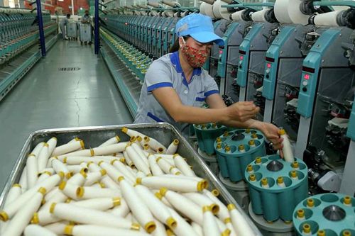Sợi Thế Kỷ (STK): Rủi ro vỡ kế hoạch năm nay, chưa có đơn hàng cho năm 2025
