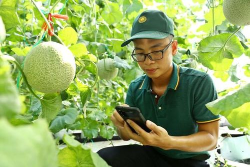 Nghiên cứu một số sáng kiến có tính đột phá để chuyển đổi sang kinh tế xanh