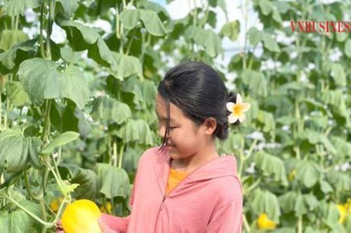 Nông dân Nga Yên và hành trình biến 'cát thành vàng'