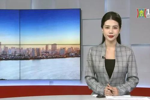 Chương trình Thời sự 11h30 | 08/10/2024