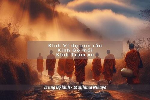 'Pháp' do đức Thế Tôn thuyết để 'chỉ rõ chân lý', không phải 'chân lý'