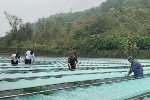 569 doanh nghiệp, hộ kinh doanh có dư nợ bị ảnh hưởng bởi cơn bão số 3