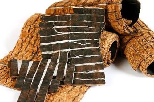 Trà đỗ trọng giảm mỡ máu, giảm béo