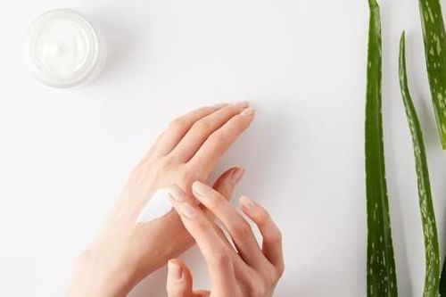 Lợi ích và 4 cách sử dụng nha đam làm đẹp da