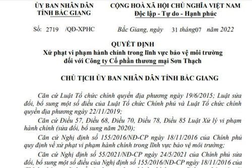 Tạm hoãn xuất cảnh Giám đốc Công ty Cổ phần Thương mại Sơn Thạch