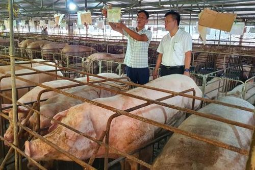 Để không còn nỗi lo thịt nhập khẩu