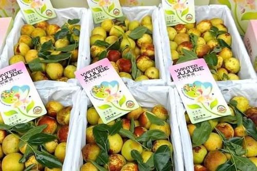 Thực hư tác dụng của hồng táo, giá siêu rẻ