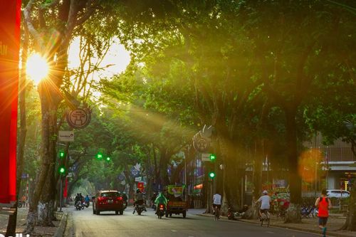 Say đắm mùa Thu Hà Nội trong nắng vàng rực rỡ
