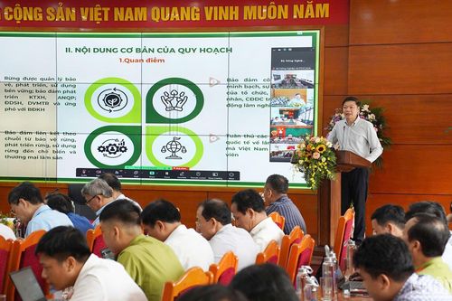 Công bố Quyết định phê duyệt Quy hoạch lâm nghiệp quốc gia thời kỳ 2021-2030, tầm nhìn đến năm 2050