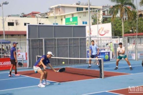 Thái Bình tổ chức Giải vô địch Pickleball các Câu lạc bộ quốc gia năm 2024