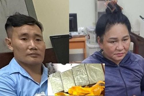 Phát hiện 4 bánh heroin 'ngụy trang' trong thùng táo mèo
