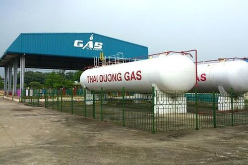 Nợ vay áp đảo vốn chủ, CTCP Đầu tư TDG Global chia cổ tức bằng cổ phiếu tỷ lệ 20%