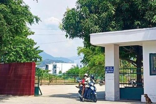 Kỷ luật cảnh cáo Giám đốc Trung tâm Huấn luyện kỹ thuật thể thao Khánh Hòa