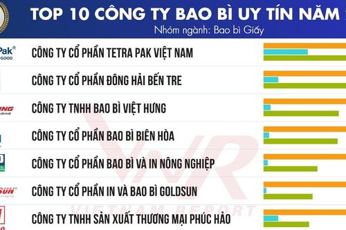 Vietnam Report công bố Top 10 Công ty bao bì uy tín năm 2024