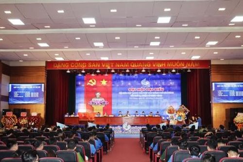 Hải Phòng tổ chức Đại hội đại biểu Hội LHTN Việt Nam lần thứ XI