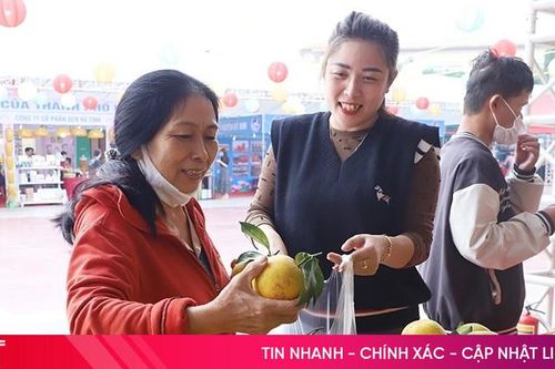 Lễ hội Cam và các sản phẩm Hà Tĩnh năm 2024 diễn ra giữa tháng 11