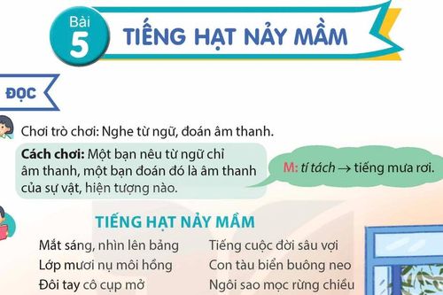 Vụ bài thơ 'Tiếng hạt nảy mầm': 'Viết sách giáo khoa là công việc nguy hiểm'