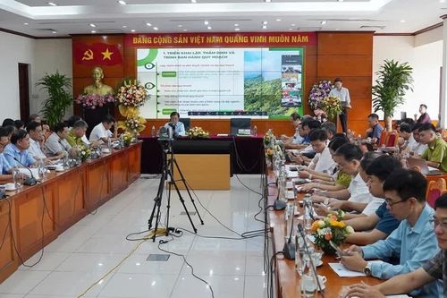 Công bố Quy hoạch lâm nghiệp quốc gia thời kỳ 2021-2030, tầm nhìn đến năm 2050