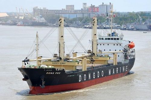 Kinh doanh thua lỗ, Đông Đô Marine bị ngân hàng rao bán nợ