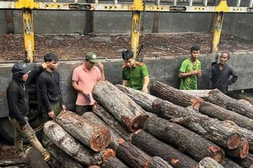 Gia Lai: Thông tin mới vụ bắt giữ xe chở gỗ trái phép tại biên giới