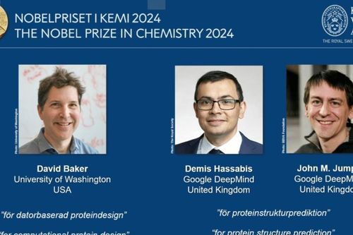 Ứng dụng công nghệ AI giúp ba nhà khoa học Mỹ và Anh đoạt giải Nobel Hóa học