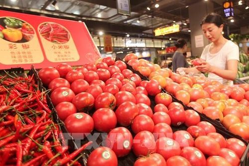 Nhu cầu tiêu dùng của Trung Quốc phục hồi mạnh mẽ
