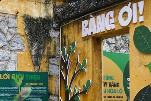 'Bàng ơi…!' kể chuyện lịch sử ở Nhà tù Hỏa Lò