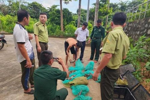 Bà Rịa – Vũng Tàu: Xử phạt người đàn ông vận chuyển 17 cá thể động vật quý hiếm