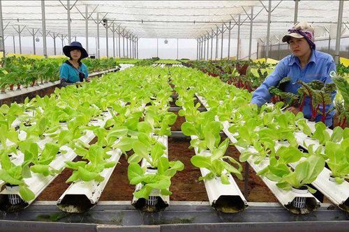 Thúc đẩy kinh tế tuần hoàn tại Việt Nam