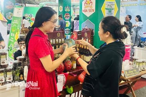 Kết nối cung - cầu với thị trường Thành phố Hồ Chí Minh