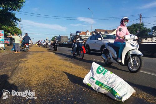 Nhiều người bị ngã do nhớt xe đổ ra đường ở Thống Nhất