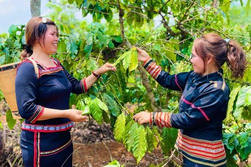 Những phụ nữ dân tộc thiểu số lan tỏa tinh thần khởi nghiệp
