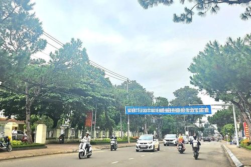 Tài xế có được phép xuống xe khi dừng ô tô từ ngày 1-1-2025?